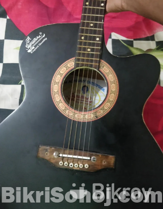 Indian Acoustic Signature Guitar